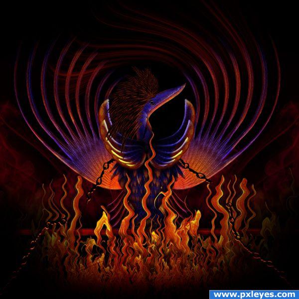 Phoenix Rising